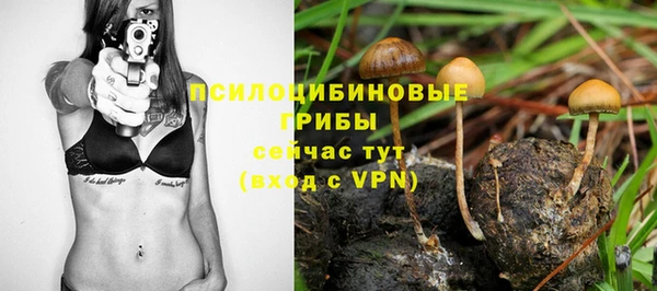 герыч Алексеевка