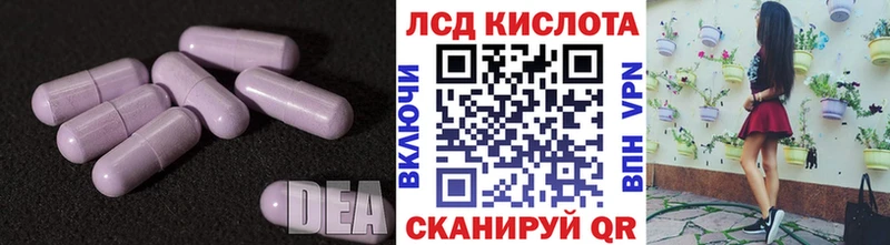 дарнет шоп  Юрьевец  Лсд 25 экстази кислота 